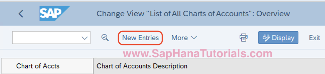 How to Define Chart of Accounts in SAP S4 Hana - SAP Hana Tutorials