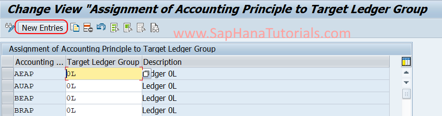 check assignment of accounting principles to ledger group