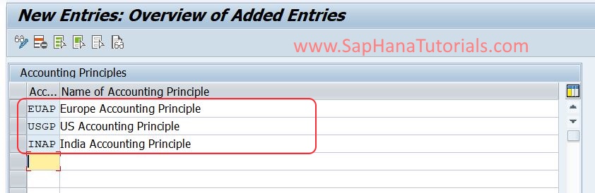 Define Accounting Principle in SAP S4 HANA - SAP Hana Tutorials